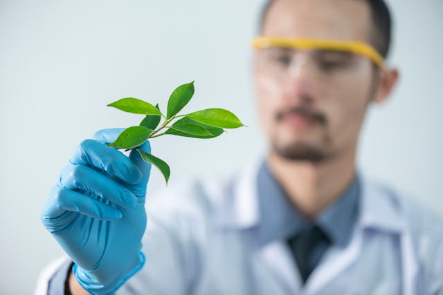 Cannabis Testing Solutions